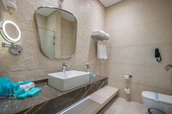Deluxe Double or Twin Room3