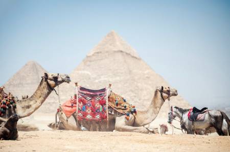 Al Masa Hotel Nasr City Al Masa Hotel Nasr City6