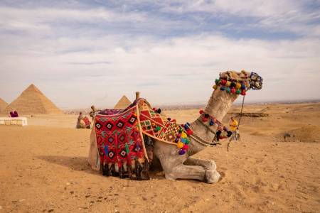 Al Masa Hotel Nasr City Al Masa Hotel Nasr City12